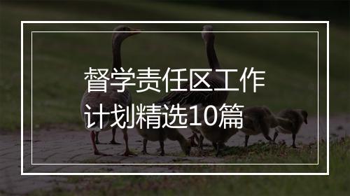 督学责任区工作计划精选10篇