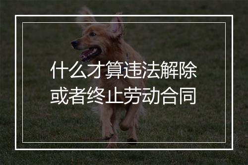 什么才算违法解除或者终止劳动合同