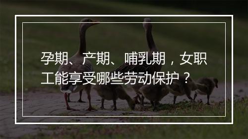 孕期、产期、哺乳期，女职工能享受哪些劳动保护？