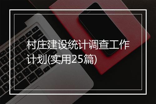 村庄建设统计调查工作计划(实用25篇)