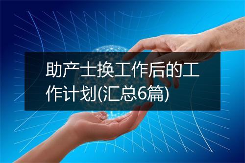助产士换工作后的工作计划(汇总6篇)