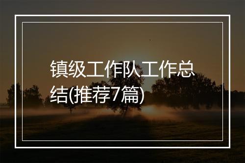 镇级工作队工作总结(推荐7篇)