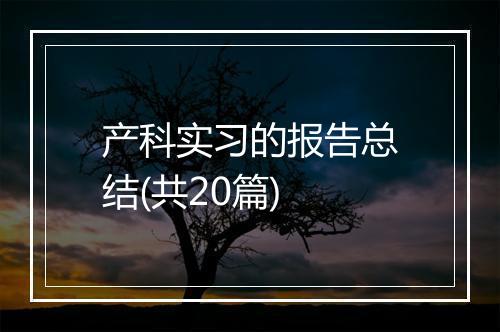 产科实习的报告总结(共20篇)