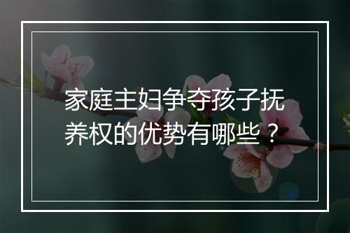 家庭主妇争夺孩子抚养权的优势有哪些？
