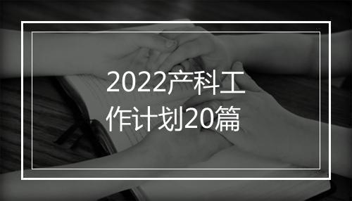 2022产科工作计划20篇