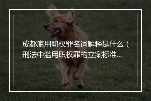 成都滥用职权罪名词解释是什么（刑法中滥用职权罪的立案标准）