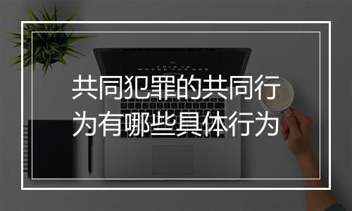 共同犯罪的共同行为有哪些具体行为