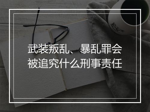 武装叛乱、暴乱罪会被追究什么刑事责任