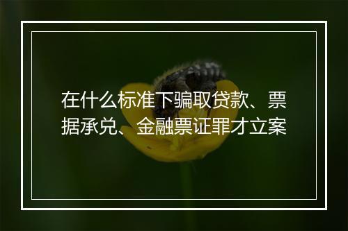 在什么标准下骗取贷款、票据承兑、金融票证罪才立案
