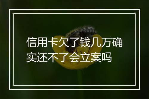 信用卡欠了钱几万确实还不了会立案吗