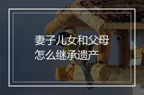 妻子儿女和父母怎么继承遗产