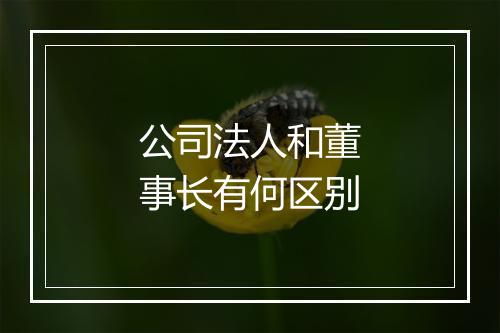 公司法人和董事长有何区别
