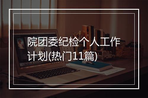 院团委纪检个人工作计划(热门11篇)