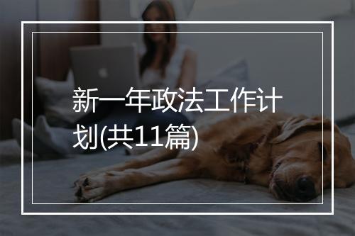 新一年政法工作计划(共11篇)
