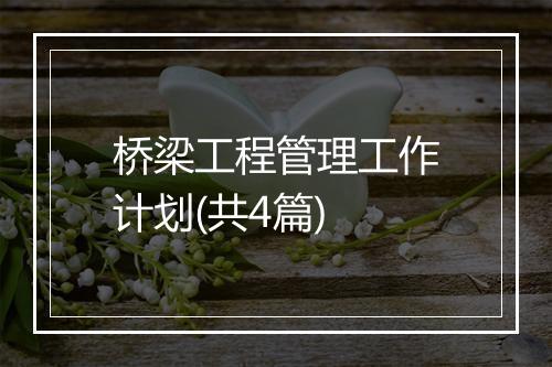 桥梁工程管理工作计划(共4篇)