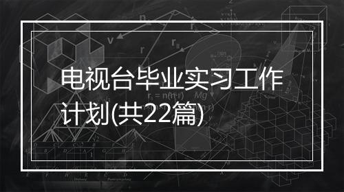 电视台毕业实习工作计划(共22篇)