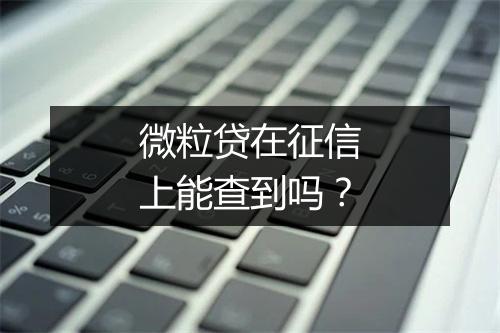 微粒贷在征信上能查到吗？