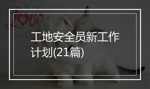 工地安全员新工作计划(21篇)