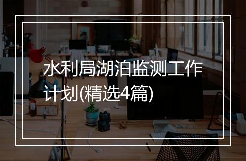 水利局湖泊监测工作计划(精选4篇)