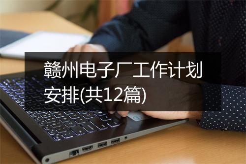 赣州电子厂工作计划安排(共12篇)