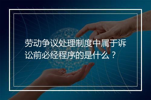劳动争议处理制度中属于诉讼前必经程序的是什么？