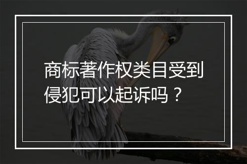 商标著作权类目受到侵犯可以起诉吗？