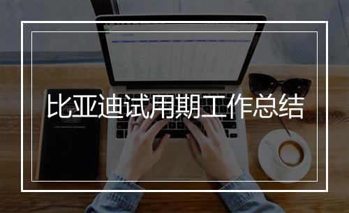 比亚迪试用期工作总结