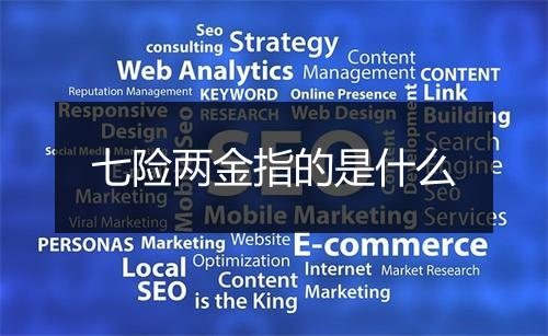 七险两金指的是什么