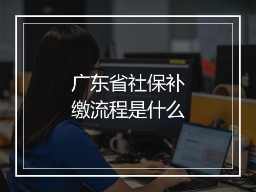 广东省社保补缴流程是什么