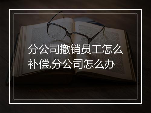 分公司撤销员工怎么补偿,分公司怎么办
