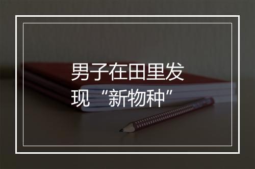 男子在田里发现“新物种”