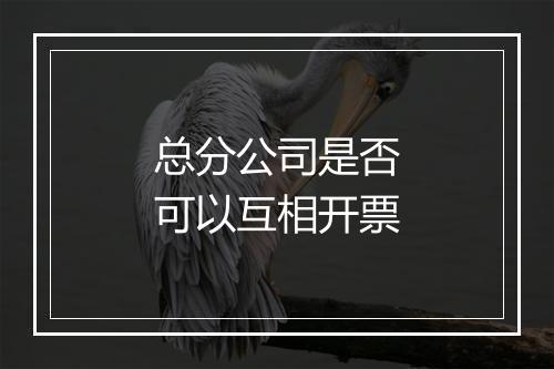 总分公司是否可以互相开票