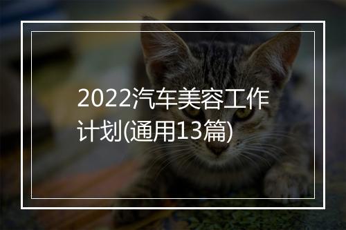 2022汽车美容工作计划(通用13篇)