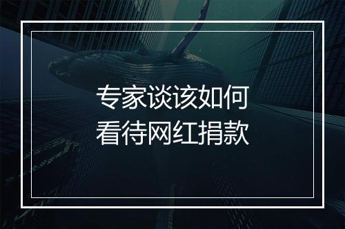 专家谈该如何看待网红捐款