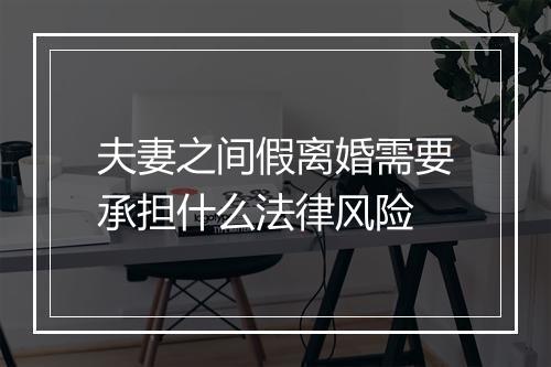 夫妻之间假离婚需要承担什么法律风险