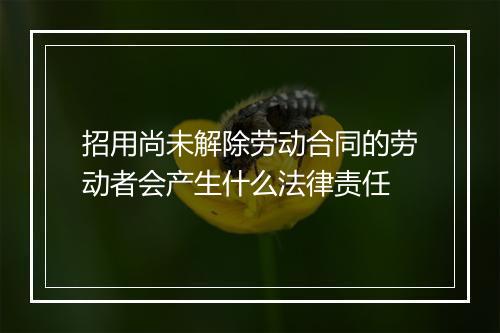 招用尚未解除劳动合同的劳动者会产生什么法律责任