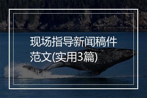 现场指导新闻稿件范文(实用3篇)