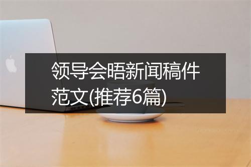 领导会晤新闻稿件范文(推荐6篇)