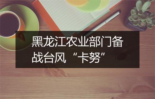 黑龙江农业部门备战台风“卡努”