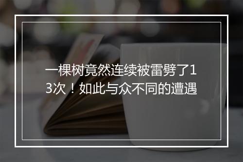 一棵树竟然连续被雷劈了13次！如此与众不同的遭遇