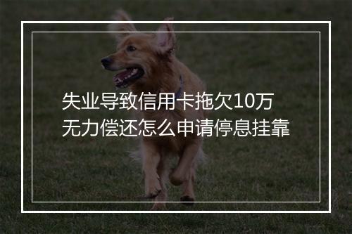 失业导致信用卡拖欠10万无力偿还怎么申请停息挂靠