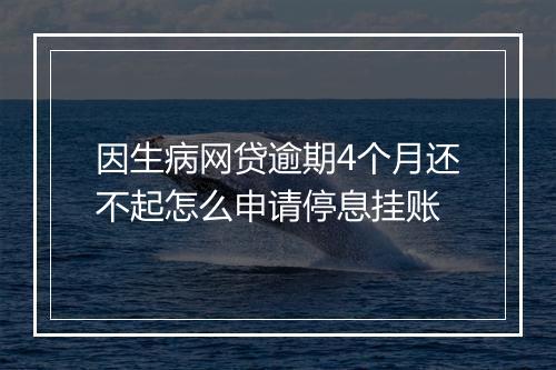 因生病网贷逾期4个月还不起怎么申请停息挂账