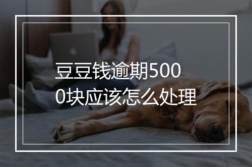豆豆钱逾期5000块应该怎么处理