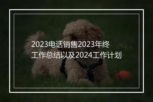 2023电话销售2023年终工作总结以及2024工作计划