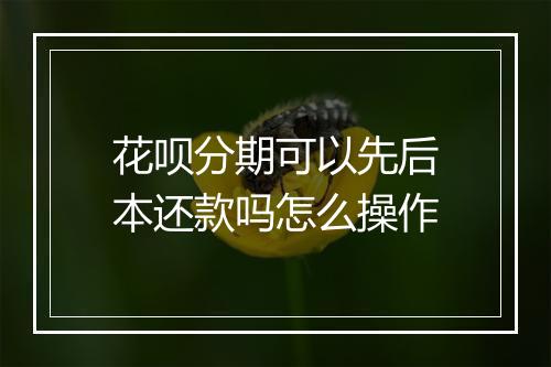花呗分期可以先后本还款吗怎么操作