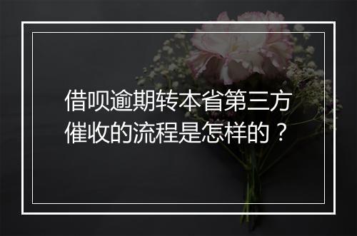 借呗逾期转本省第三方催收的流程是怎样的？