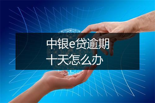 中银e贷逾期十天怎么办
