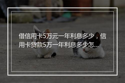 借信用卡5万元一年利息多少，信用卡贷款5万一年利息多少怎么算