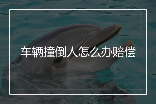 车辆撞倒人怎么办赔偿
