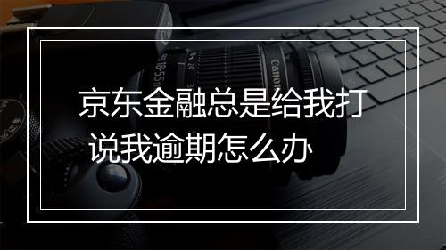京东金融总是给我打 说我逾期怎么办
